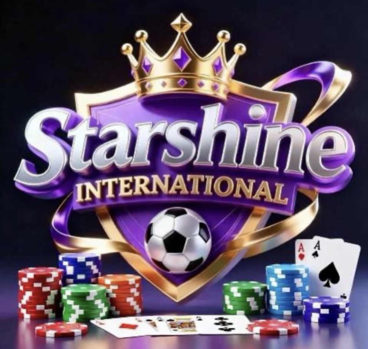 星耀国际